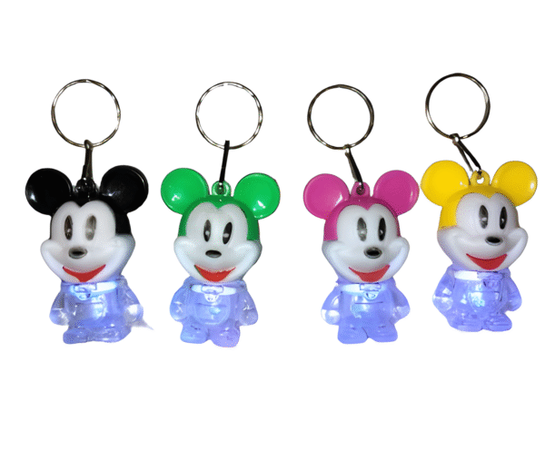 Fancy Keychain with light- set of 4(multicolour)